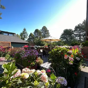 Garden In -beautiful In Ferienhaus